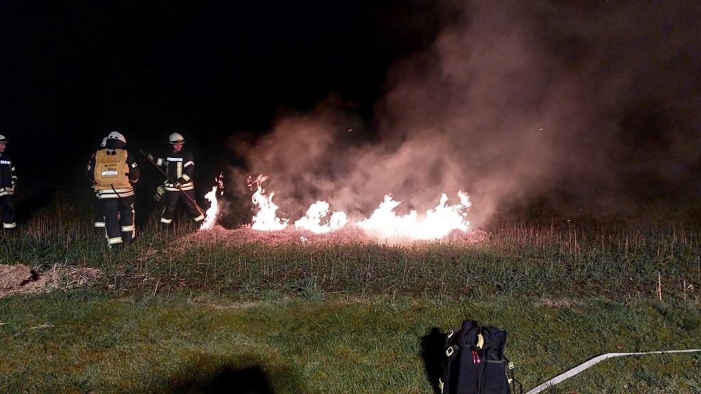 Übungsdienst Vegetationsbrände